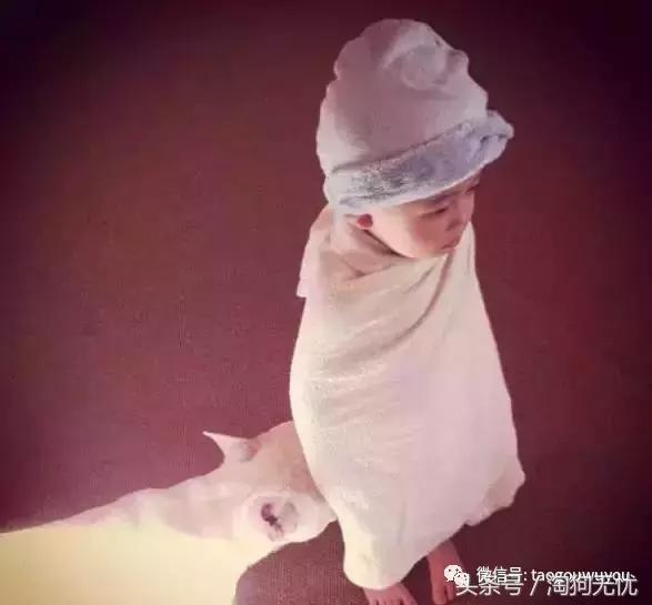 探索天线宝宝的色彩世界，四位扮演者图片背后的故事