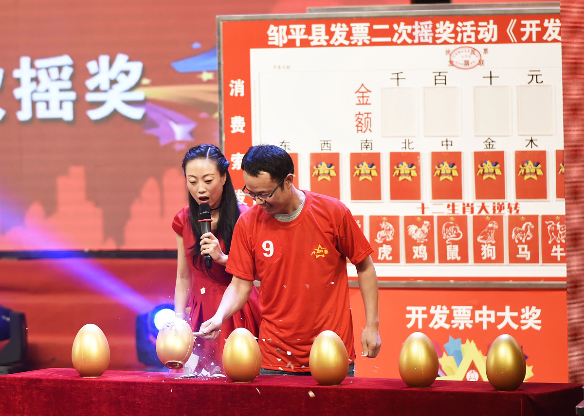 探索中彩双色球，专家擂台上的智慧较量