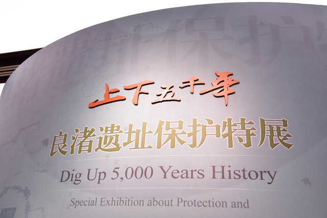 zjm 第204页