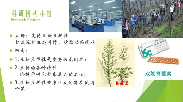 免费资料大全，香港曾道的知识宝库