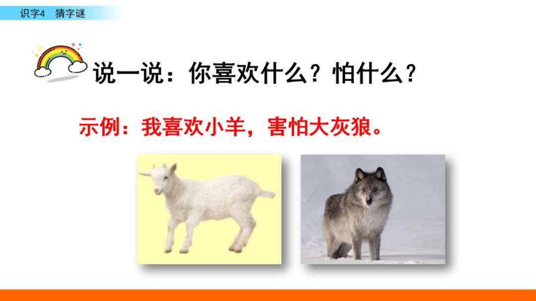 探秘红五三毛图库，字谜与图谜的奇妙总汇