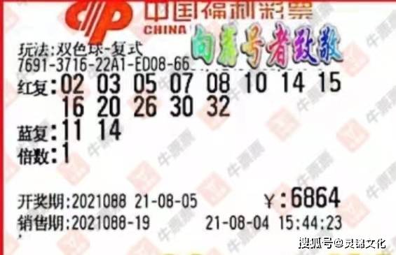 探索双色球历史开奖号码，安全购彩的智慧之选