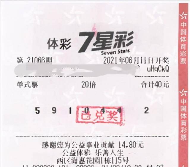 探索三地走势图，解码开奖号码与金码的奥秘