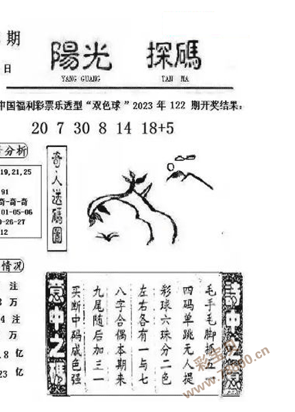 2023123期双色球阳光探码图，揭秘数字背后的幸运密码