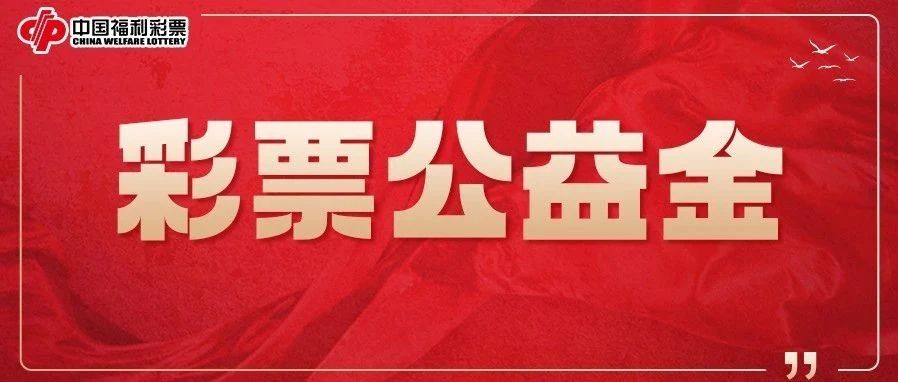 福利彩票综合版，公益与娱乐的完美融合