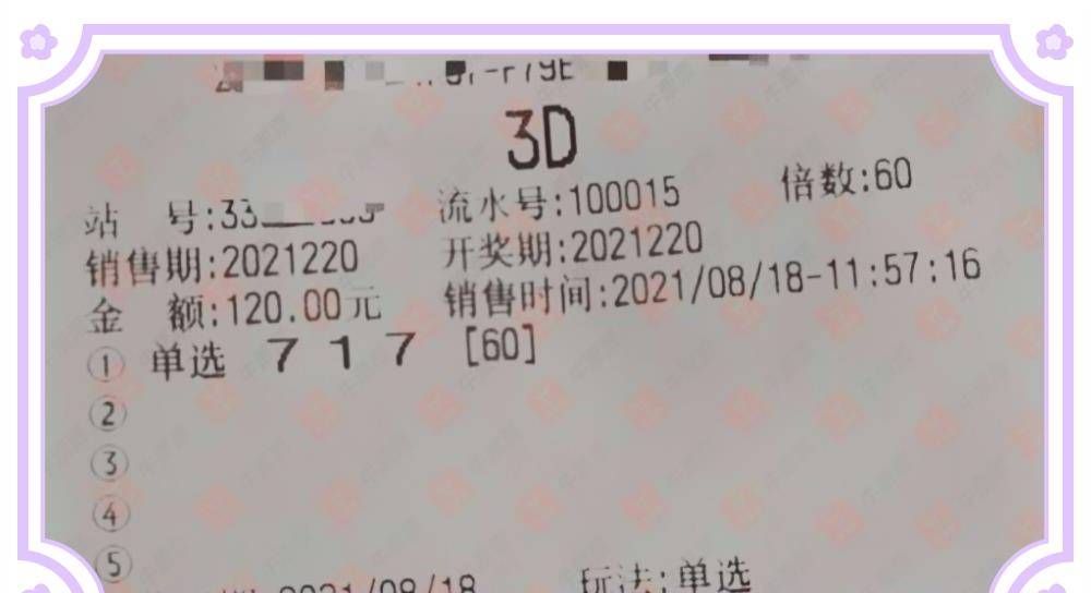 探索中国福利彩票3D精华布衣图库，解锁幸运密码的秘密花园