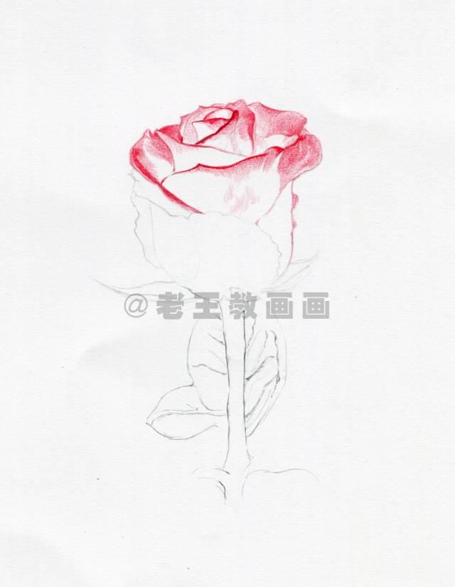 探索彩票奥秘，P3与尾走势图带连线专业版深度解析