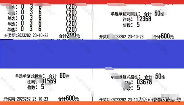 今日3D试机号与开奖结果揭秘，数字游戏中的期待与惊喜
