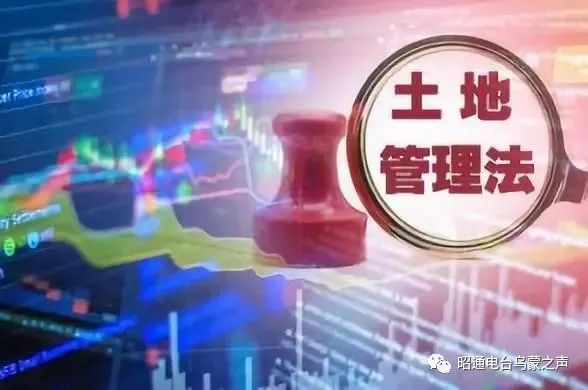 全年资料图库，时间流转中的视觉盛宴