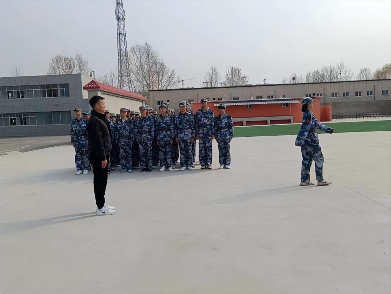 山东齐鲁风采，揭秘彩票开奖背后的故事与影响