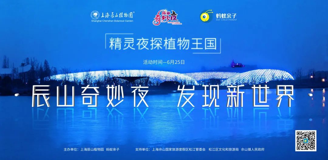 探索黑龙江22选5的奇妙组合，揭秘其背后的数学魅力