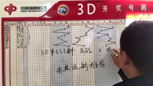 3D专业玩彩，今日分析与汇总