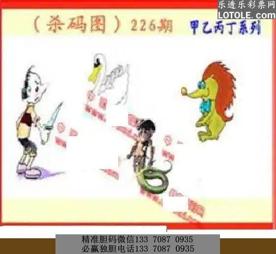 福彩丹东综合图库，探索数字背后的公益与乐趣