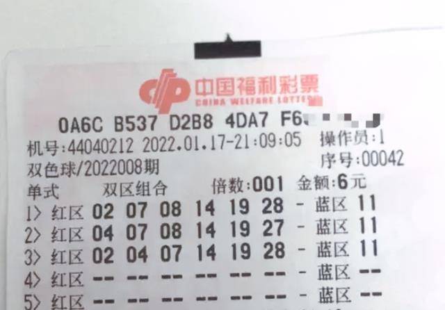 探索双色球组选的奥秘，理性投注，乐享其中