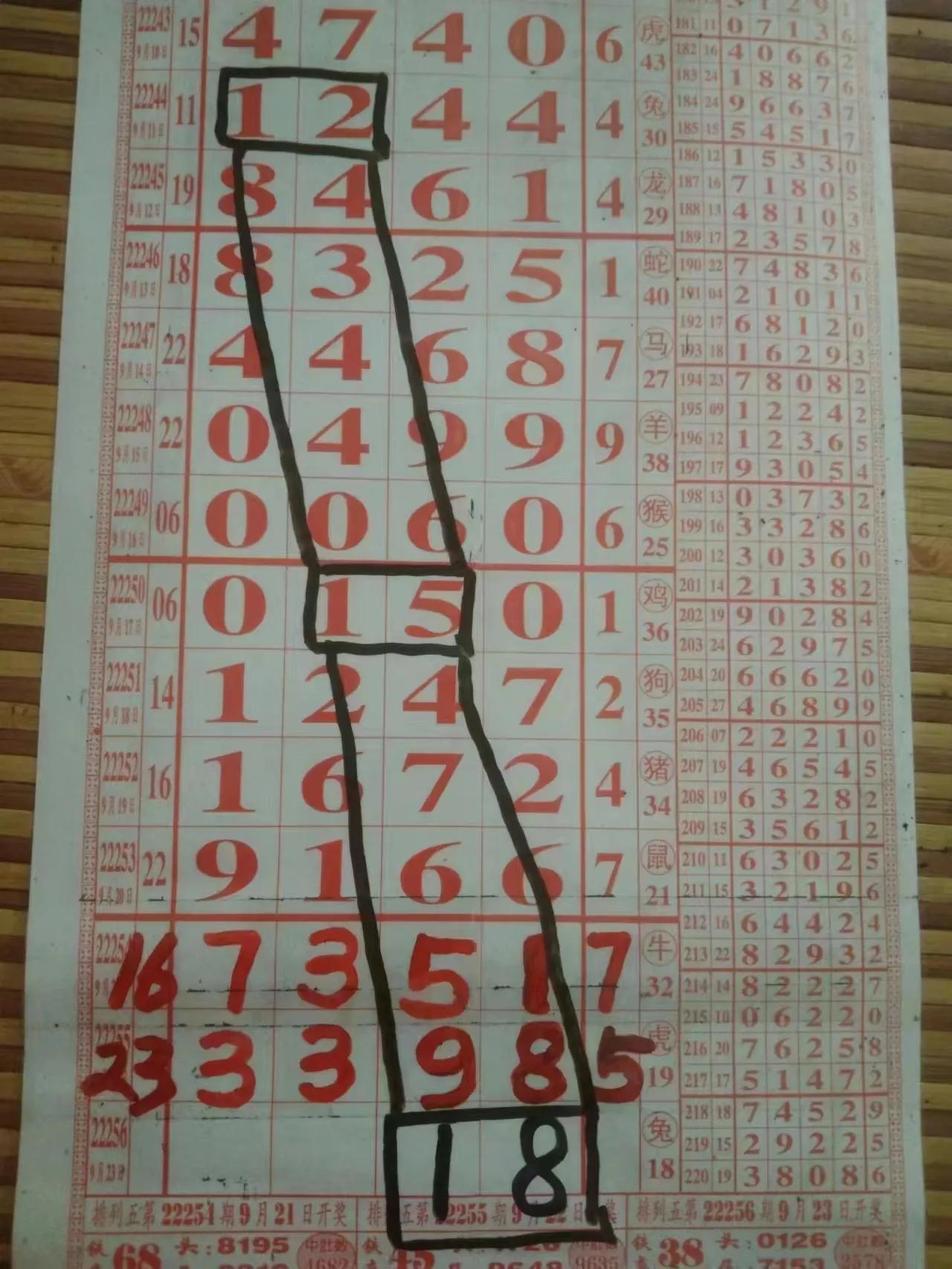 排列五开奖号码揭秘，数字背后的奥秘与乐趣