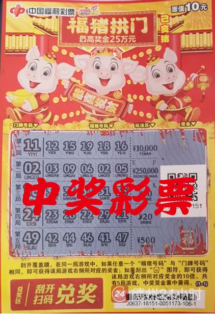 幸运之光，双色球8+1中得一等奖的非凡之旅