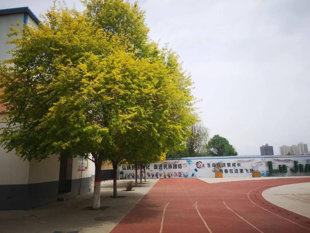 彩民之家2021，汇聚梦想与希望的彩票文化社区