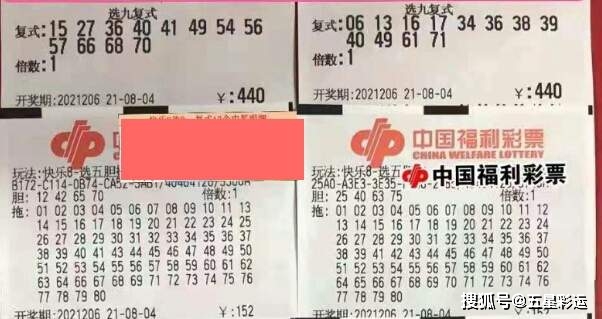 双色球胆拖玩法解析，胆码中奖的黄金法则