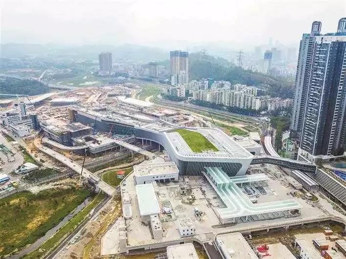 2021年香港开奖结果记录，揭秘15的幸运轨迹