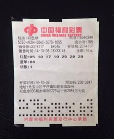 探索中国福利彩票在重庆的魅力与机遇，重庆彩票网深度剖析