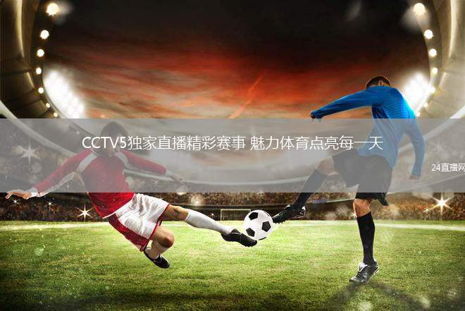 探索体育激情，CCTV5在线直播与回放的无缝体验