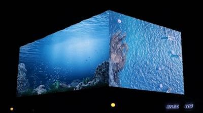 3D彩票，1000元投注能中多少钱的奇妙之旅