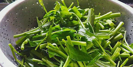 资料中心 第8页