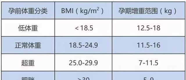 解析大肚腩与小肚腩，不仅仅是尺寸的差异