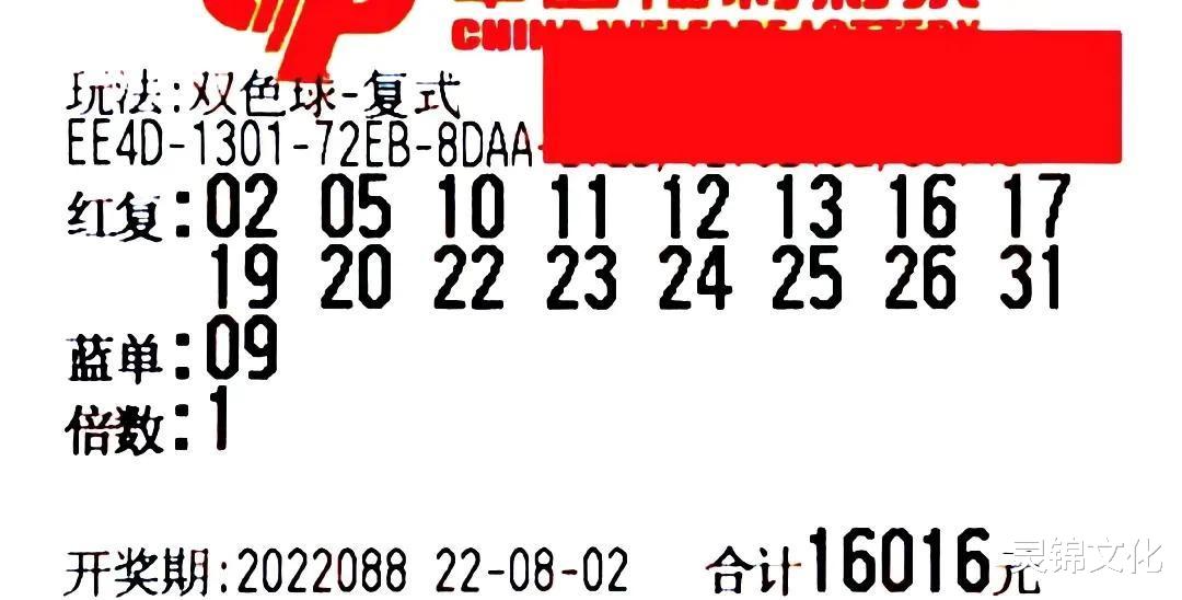 揭秘双色球与左岸春风字谜，一场智慧与运气的较量