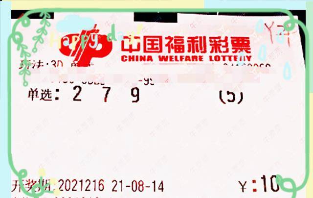 中国福利彩票双色球043期，梦想与希望的碰撞