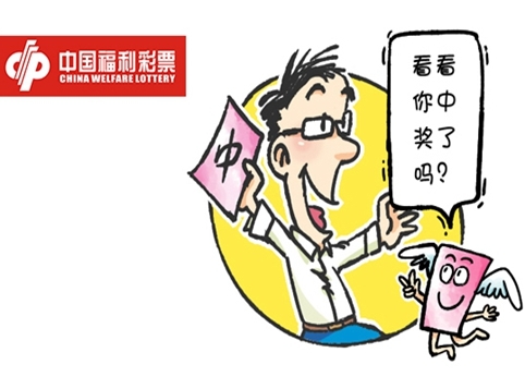 全国各地彩票开奖公告，透视中国彩票市场的多彩瞬间