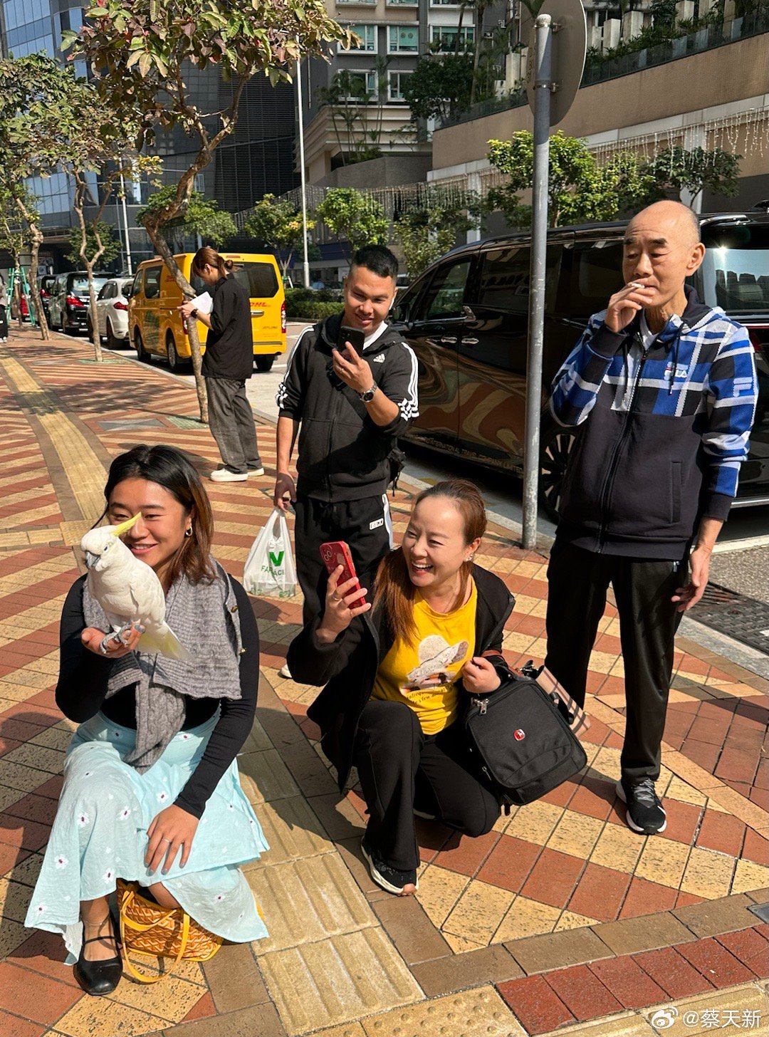 澳门六叔公，今日资料版本揭秘