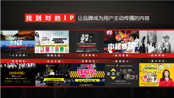 澳门六哥今日头条视频回放，揭秘澳门新风貌与文化深度